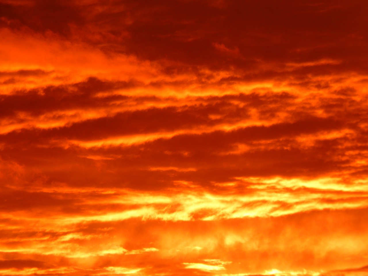 sunset,sun,sky,fire,burns,fiery,red,golden,legendary,clouds,free pictures, free photos, free images, royalty free, free illustrations, public domain