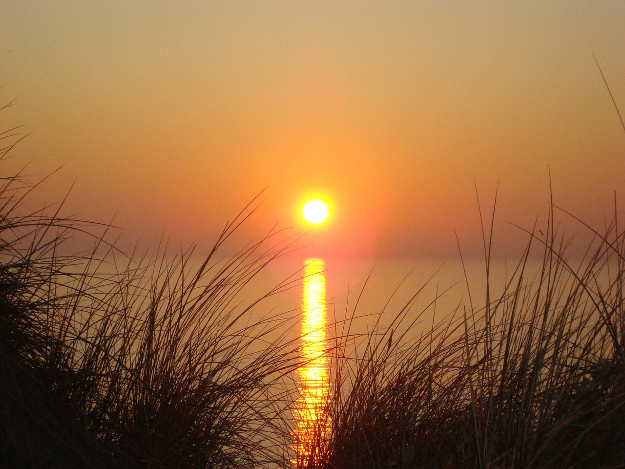 sunset sea sun free photo