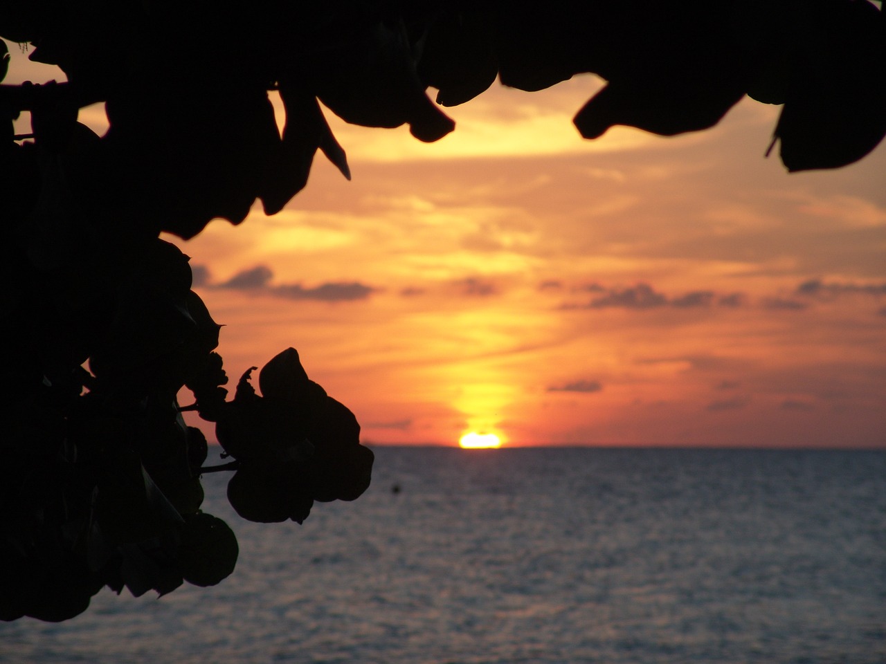 sunset jamaica caribbean free photo