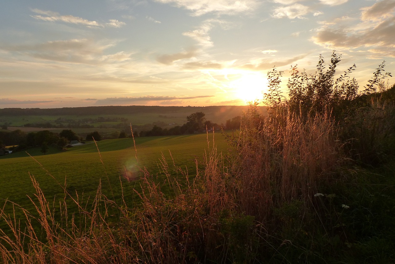 sunset nature sun free photo