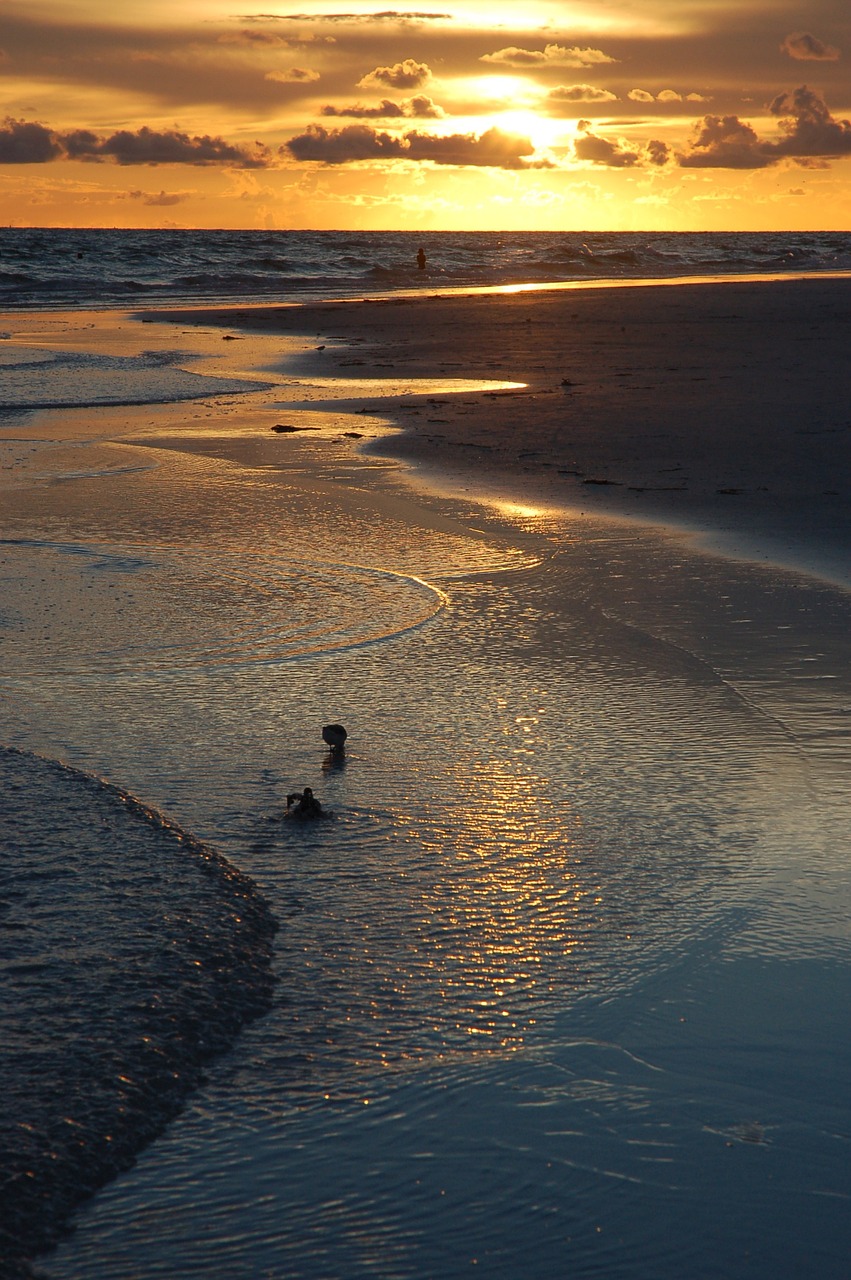 sunset siesta key florida free photo