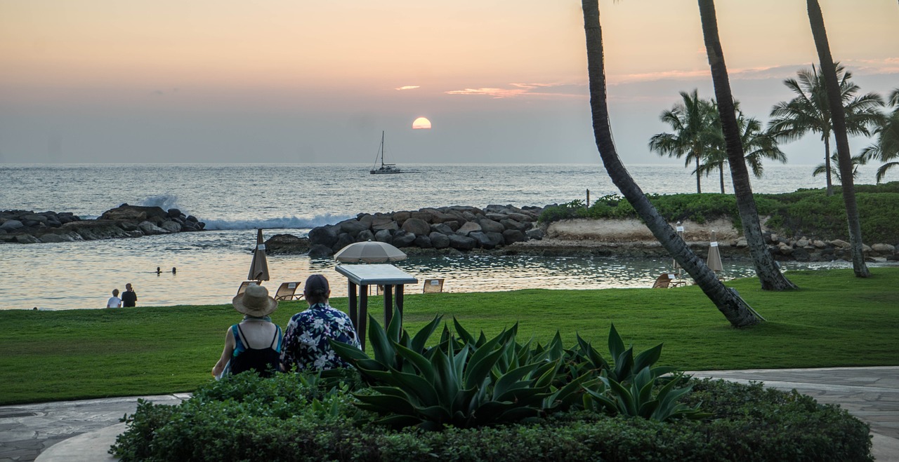 sunset hawaii palm trees free photo