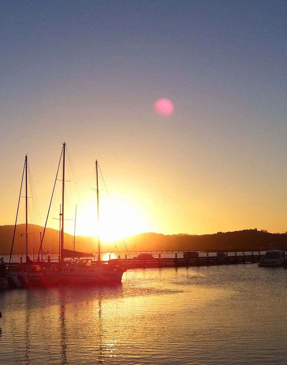 sunset boats marina free photo