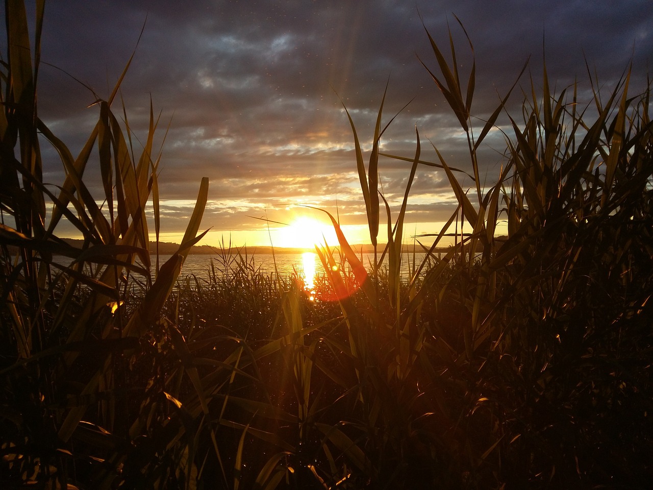 sunset lake switzerland free photo