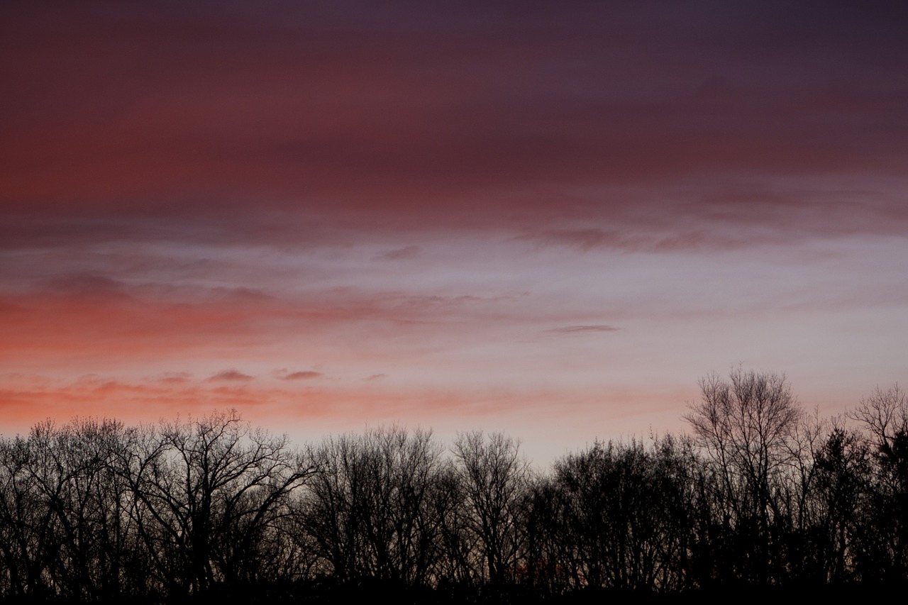 sunset autumn trees free photo