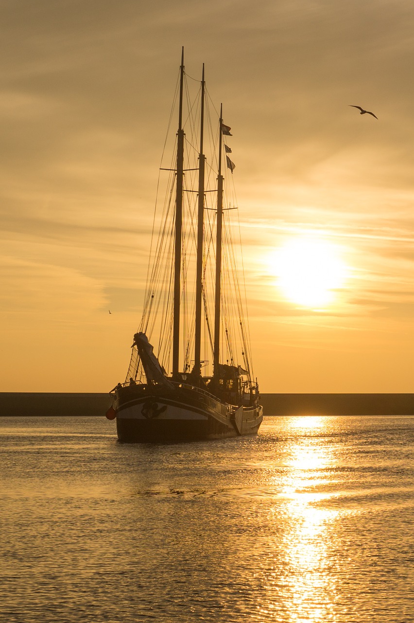 sunset sailboat yellow free photo