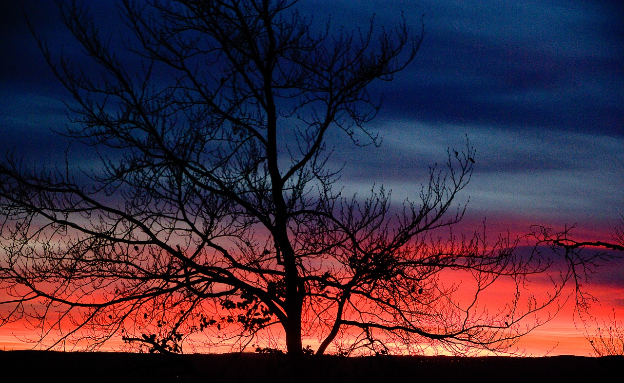 sunset evening twilight free photo