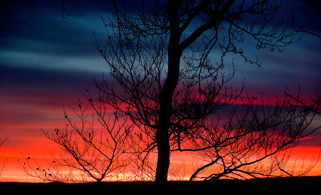 sunset evening twilight free photo