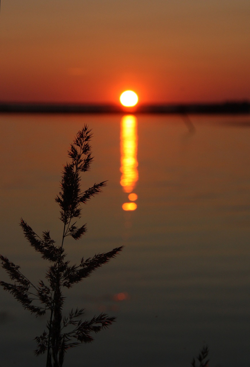 sunset summer sky free photo