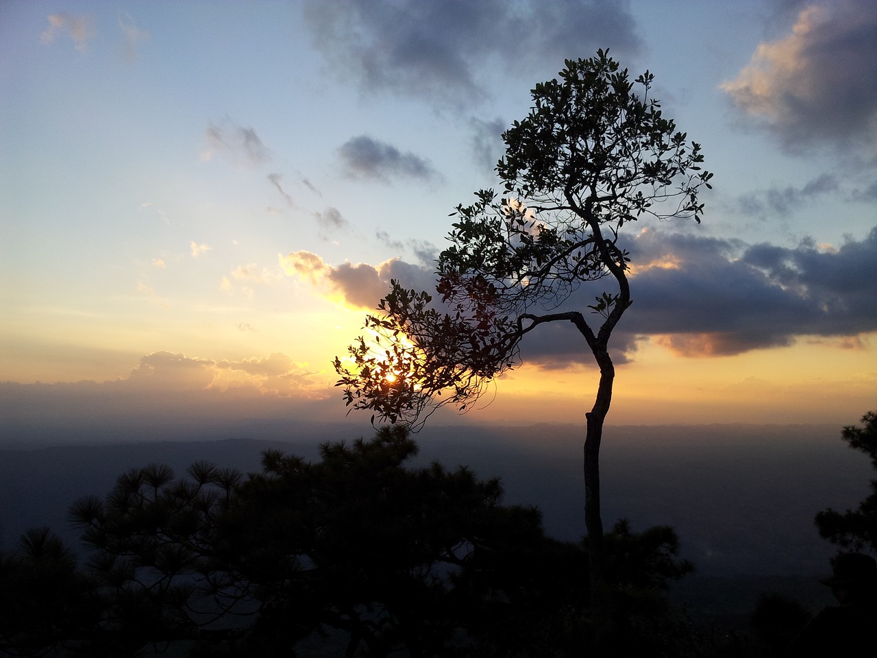 sunset thailand nature free photo