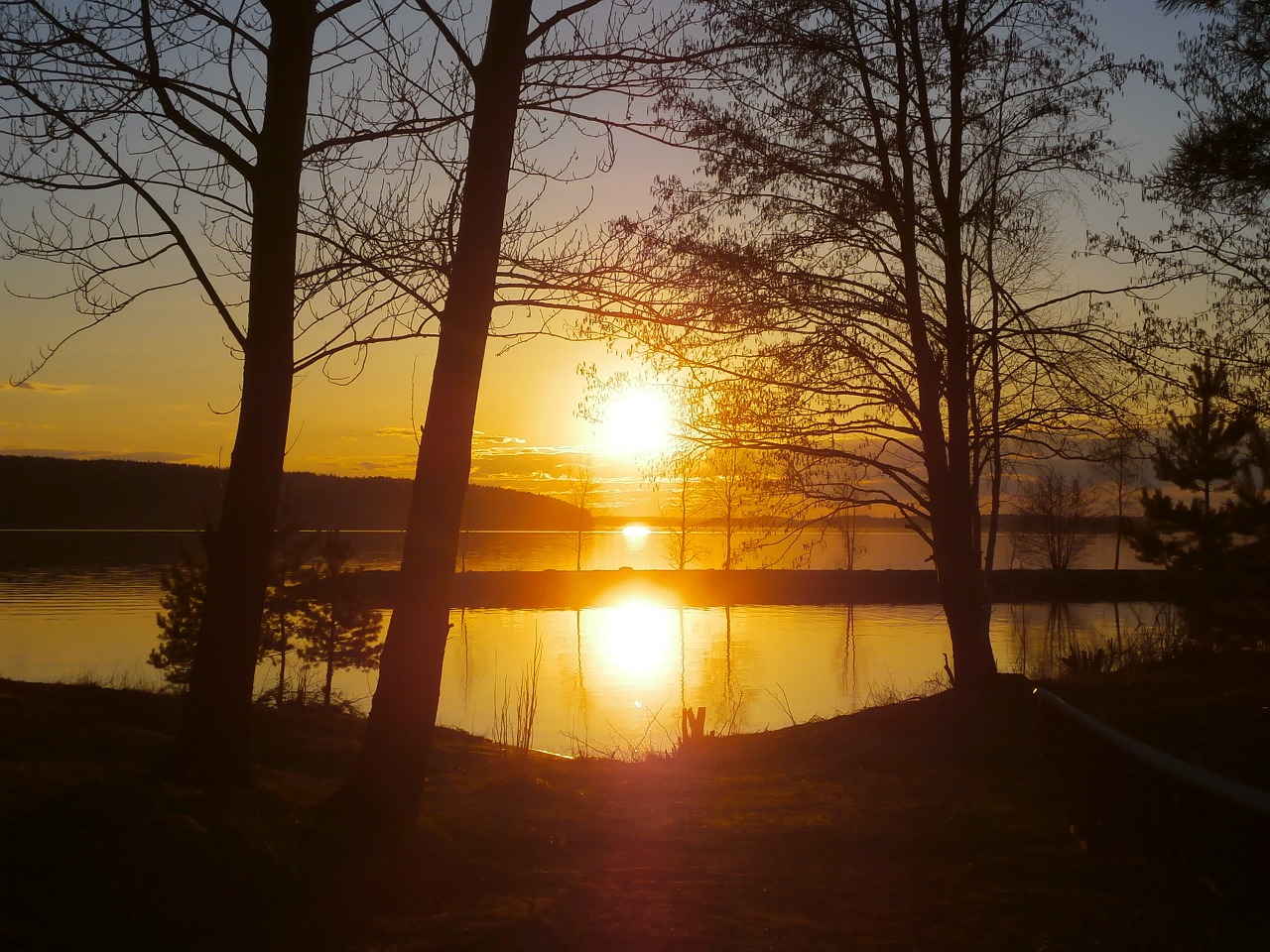 sunset sunrise trees free photo