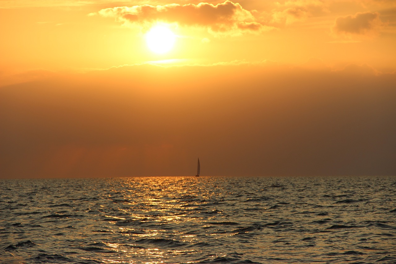 sunset sail sea free photo