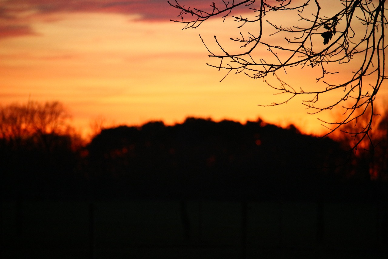 sunset evening sky sun free photo