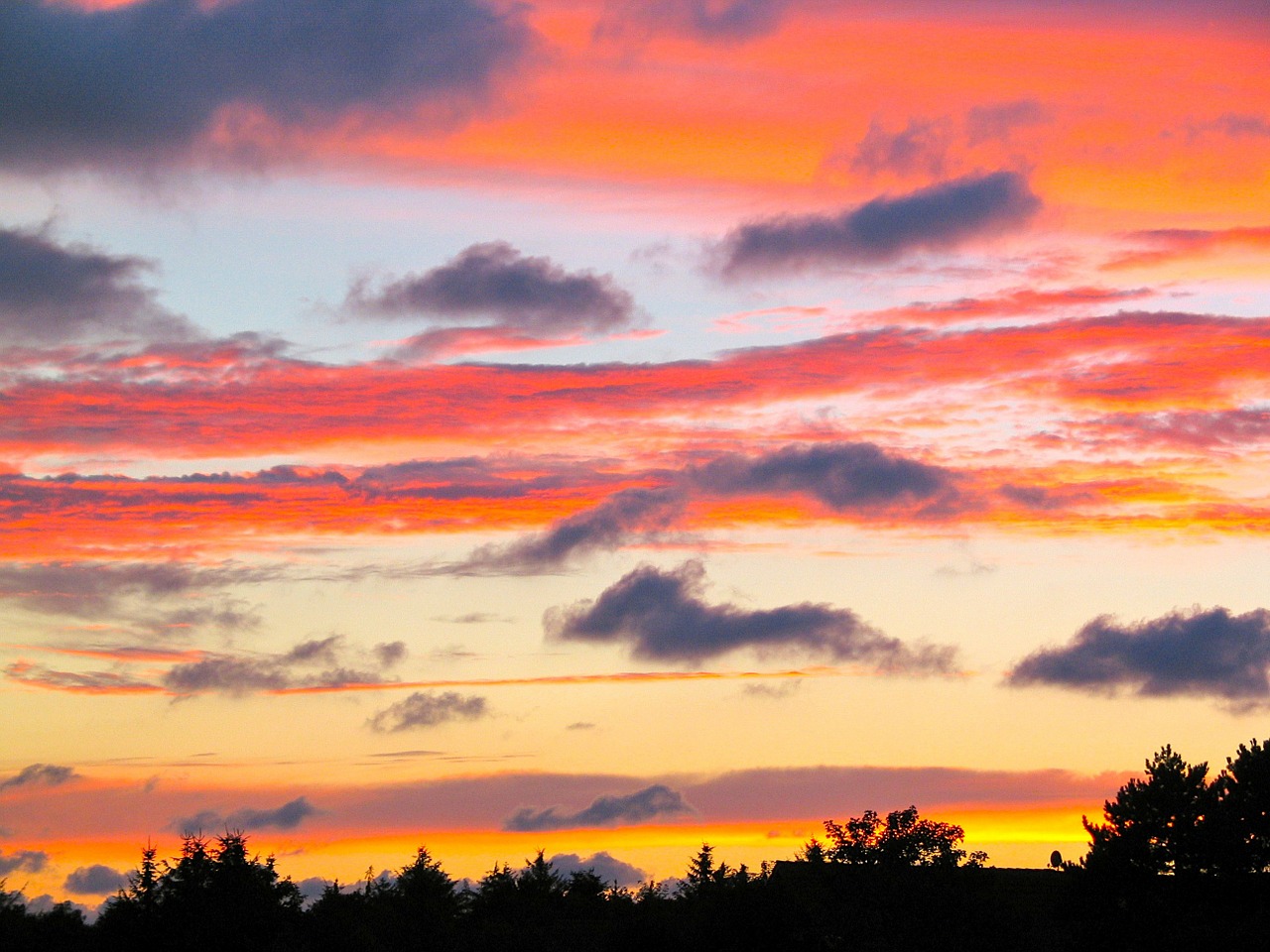 sunset evening sky sun free photo