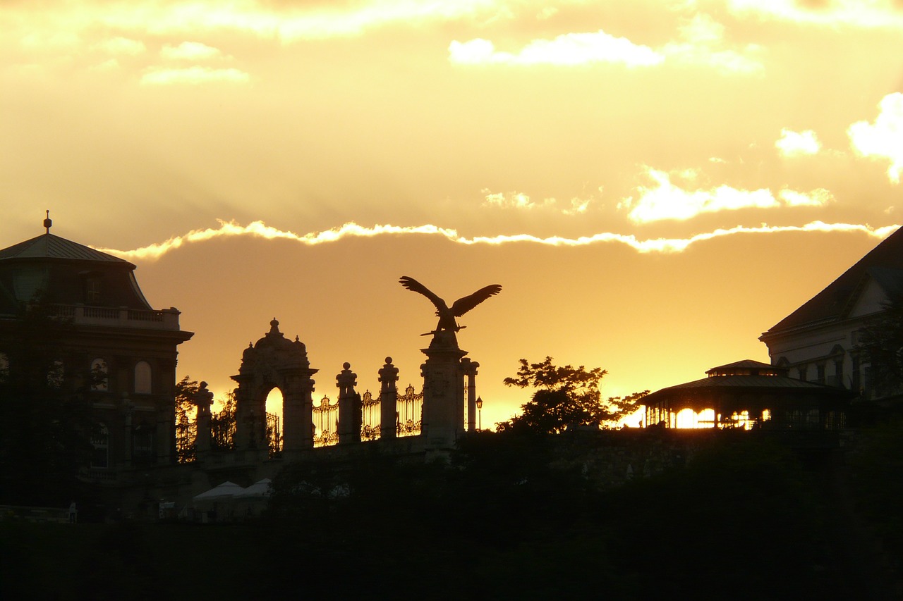 sunset back light silhouette free photo