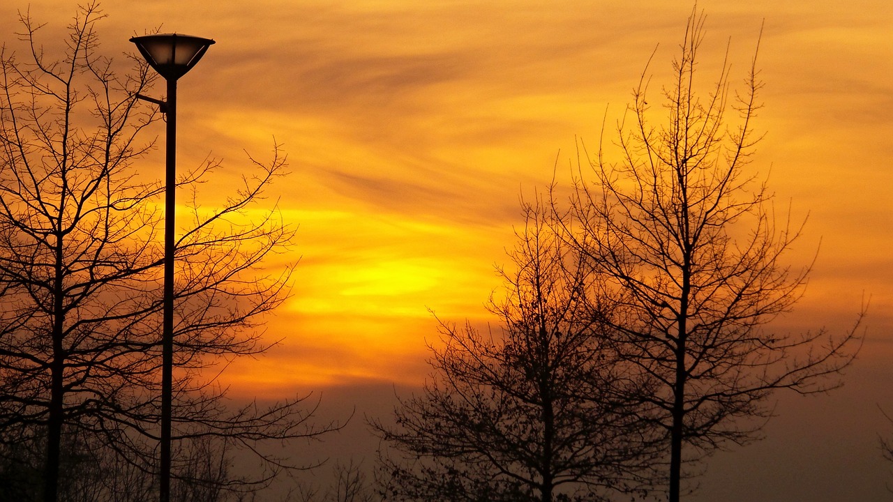 sunset orange nature free photo