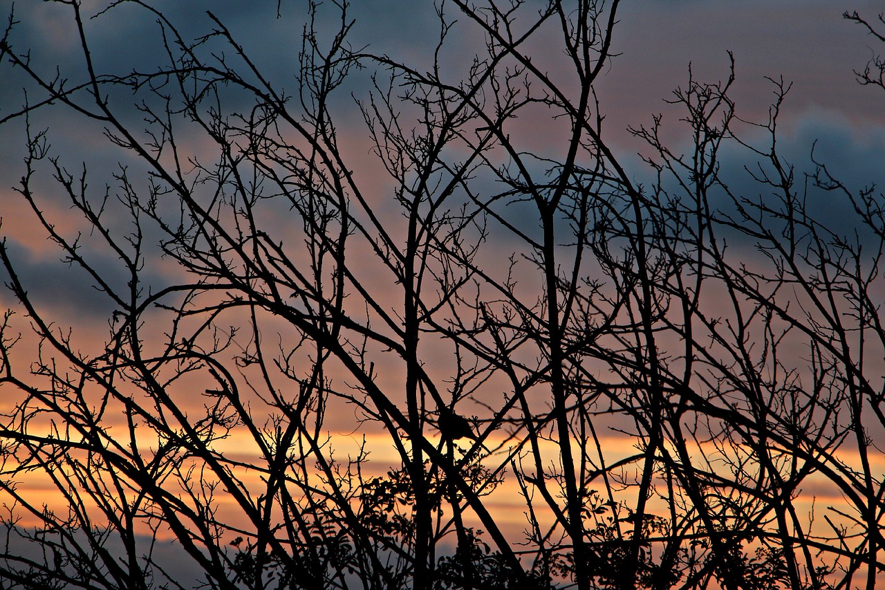 sunset dusk dawn free photo