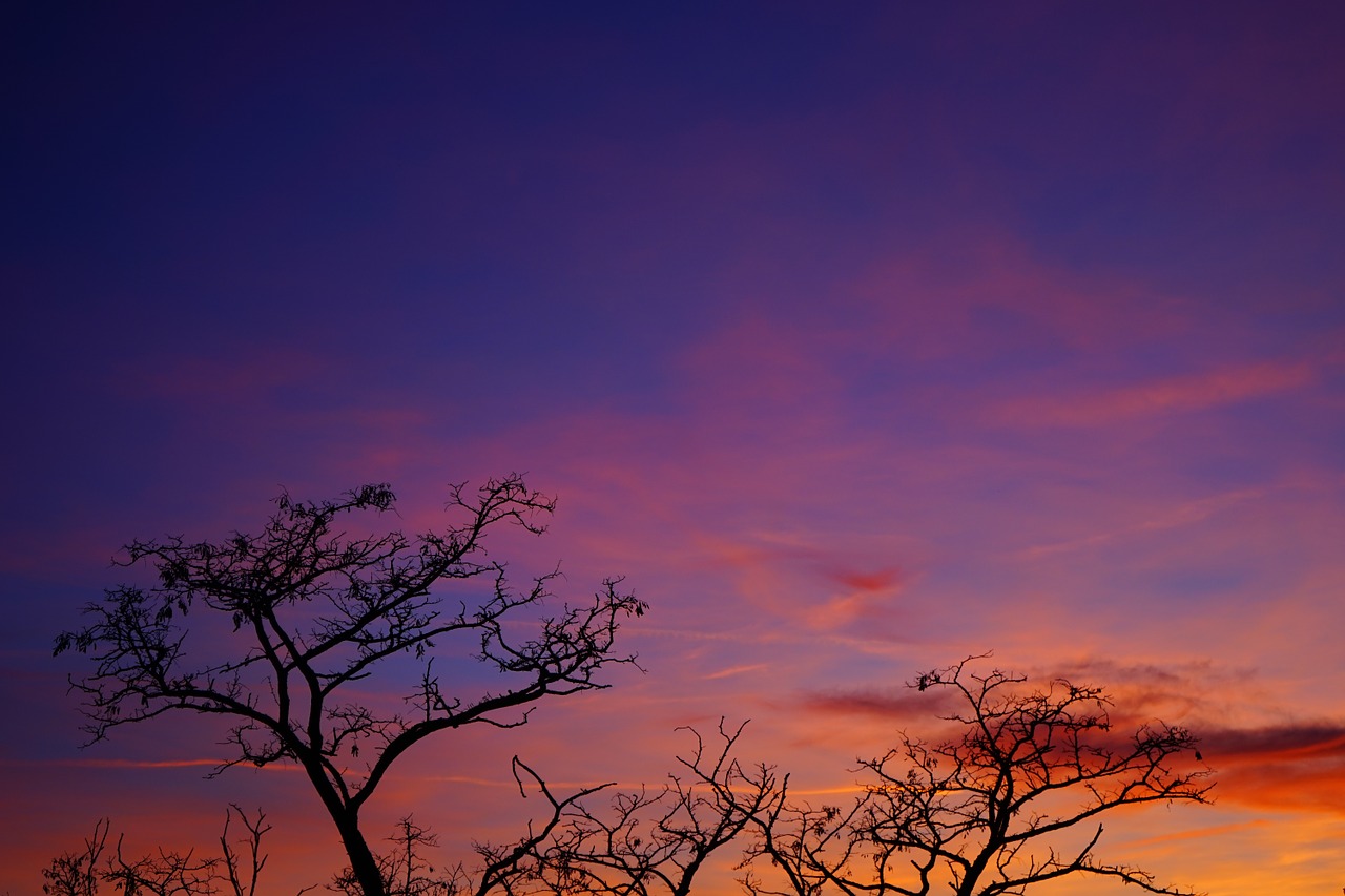 sunset evening hour sky free photo