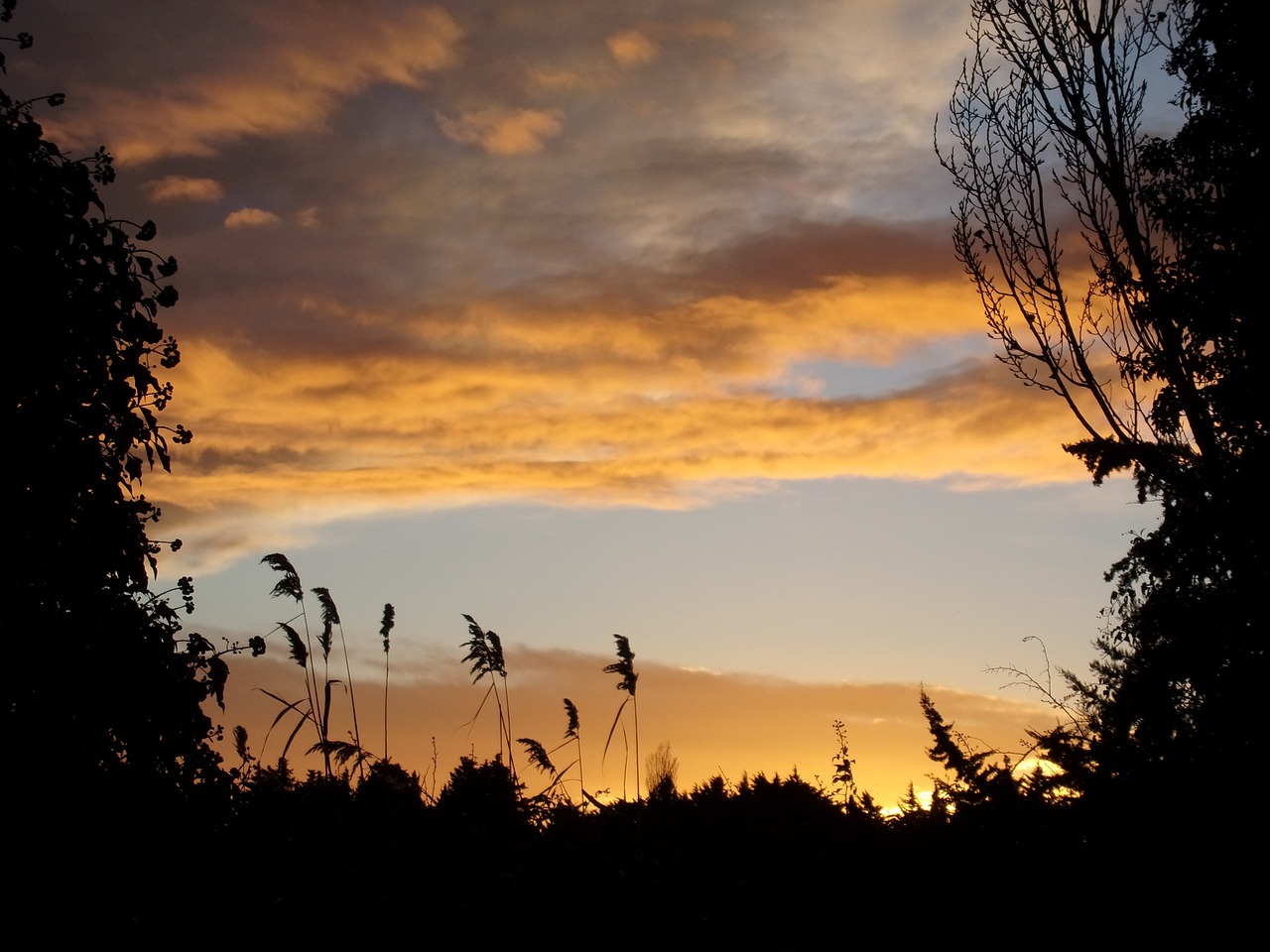 sunset twilight evening free photo