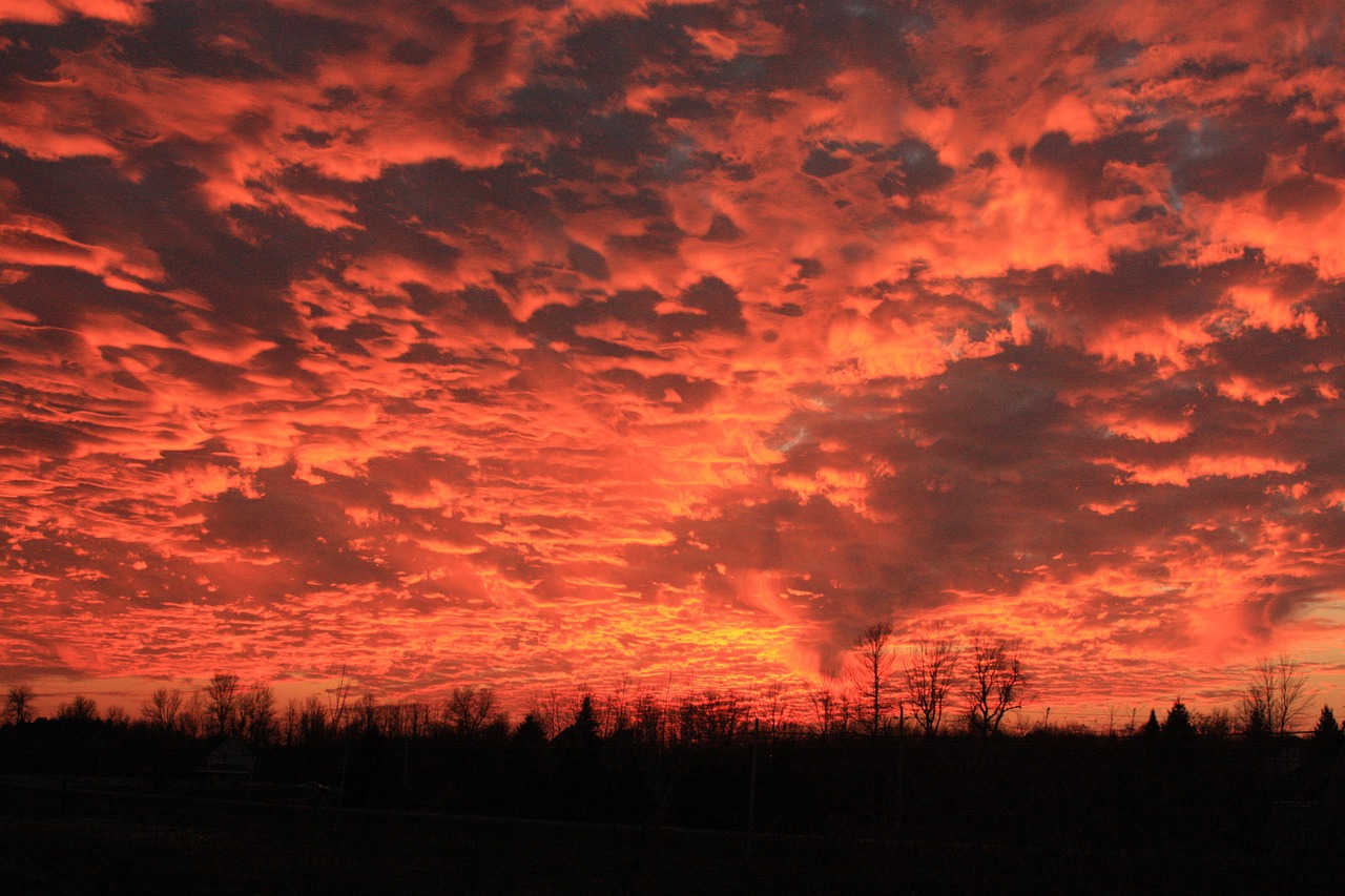 sunset evening sky free photo