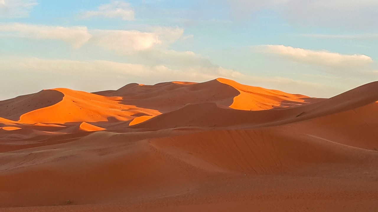 sunset sand dune desert free photo