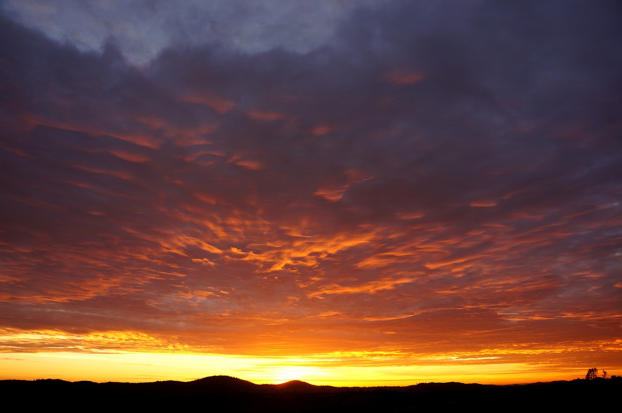 sunset orange nature free photo