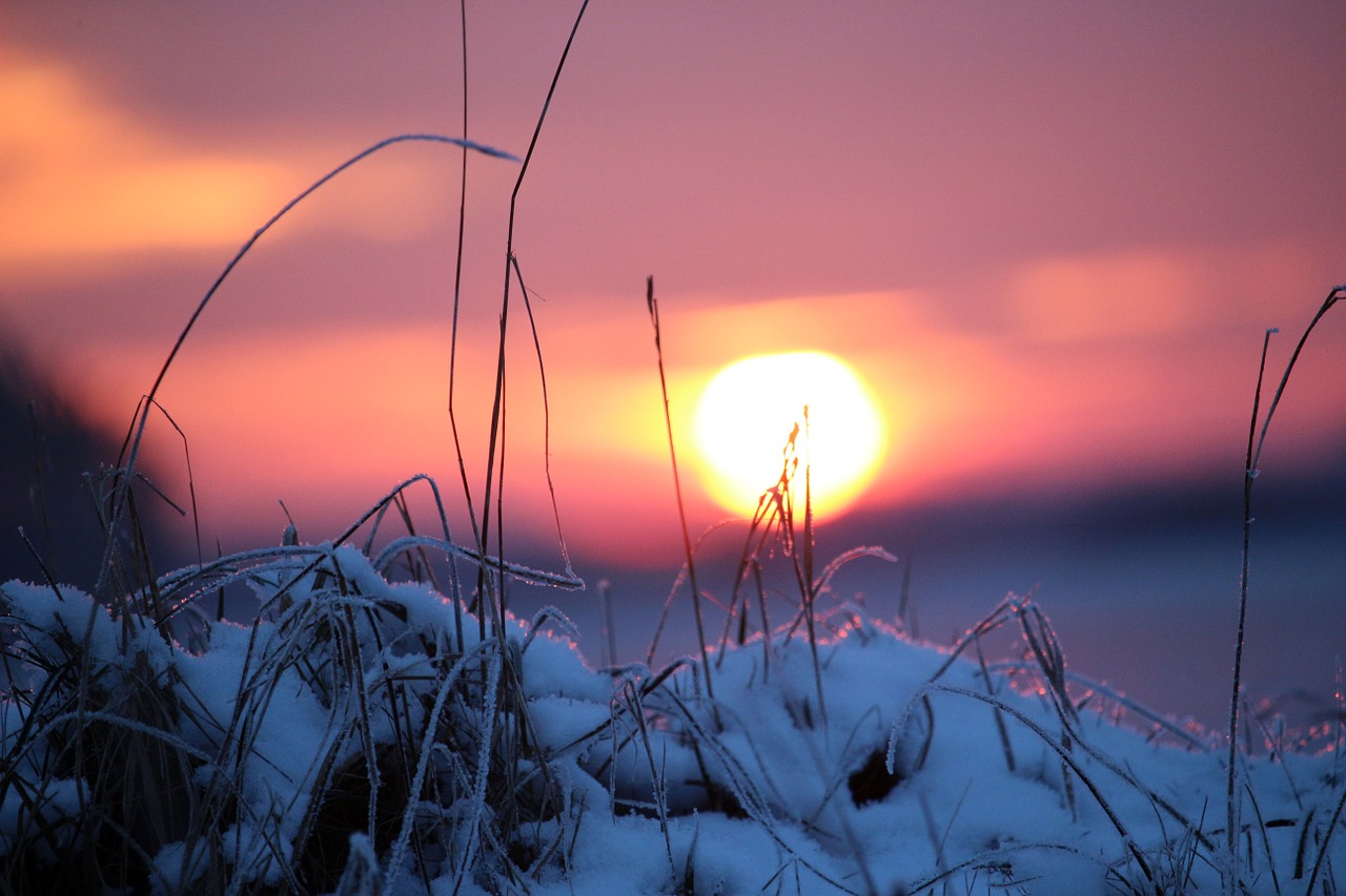 sunset snow winter free photo