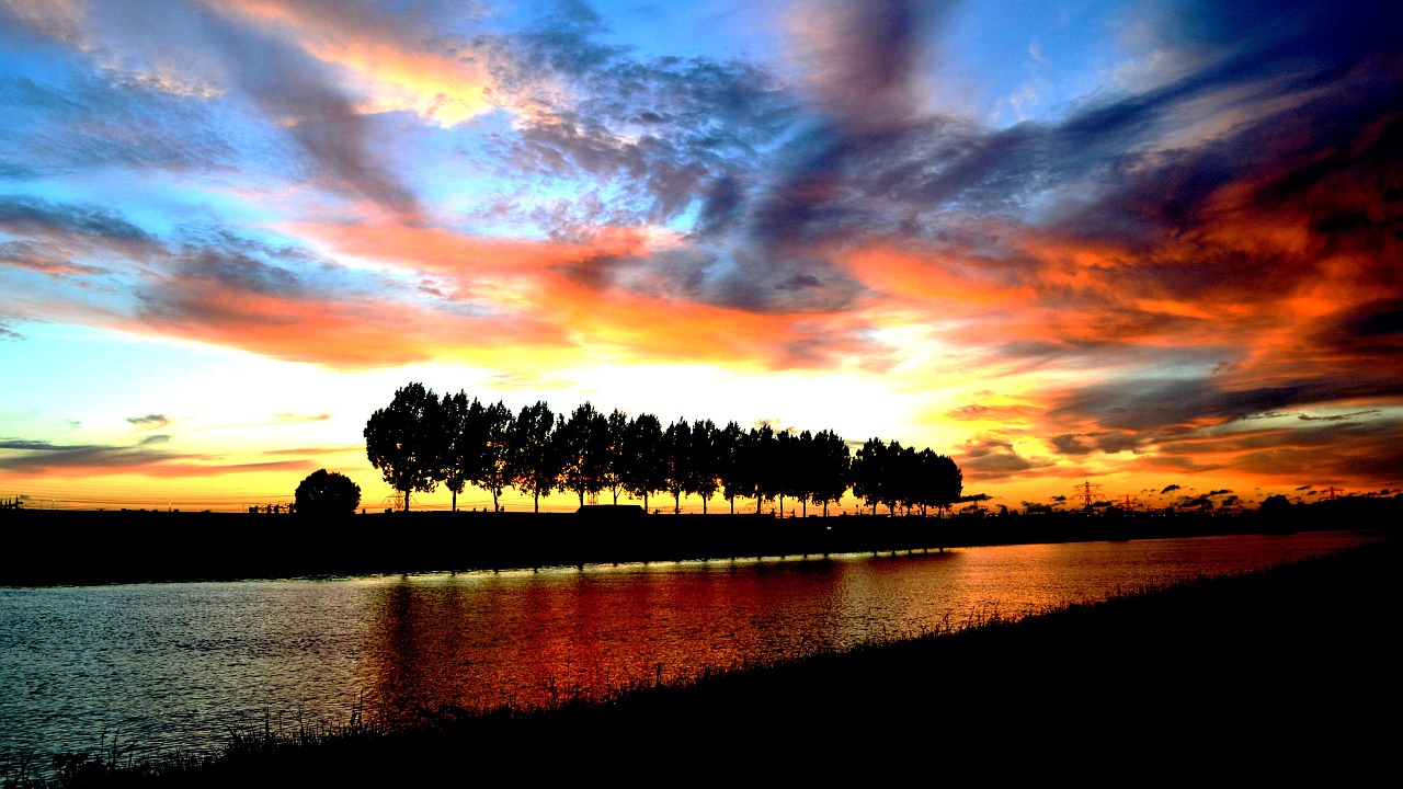 sunset trees twilight free photo