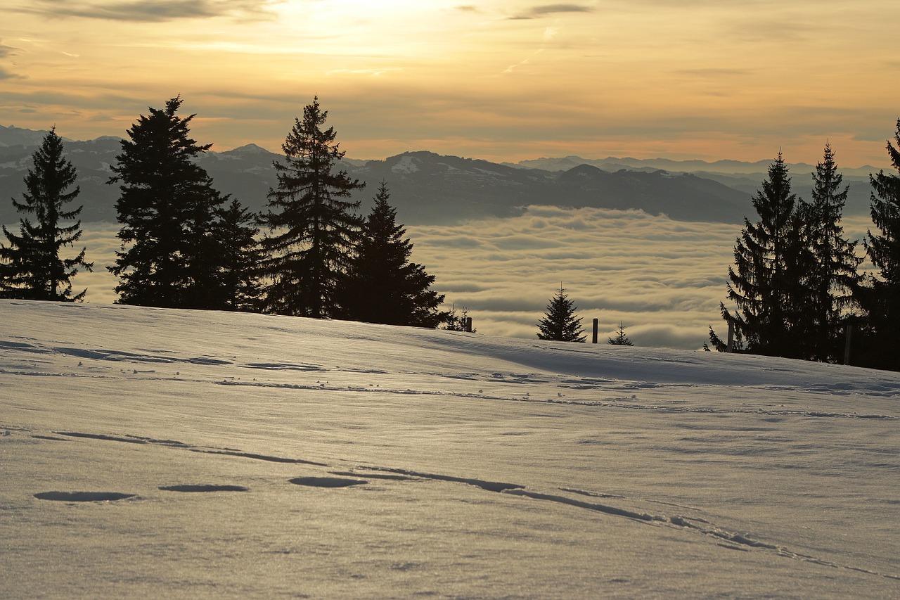 sunset alpine winter free photo