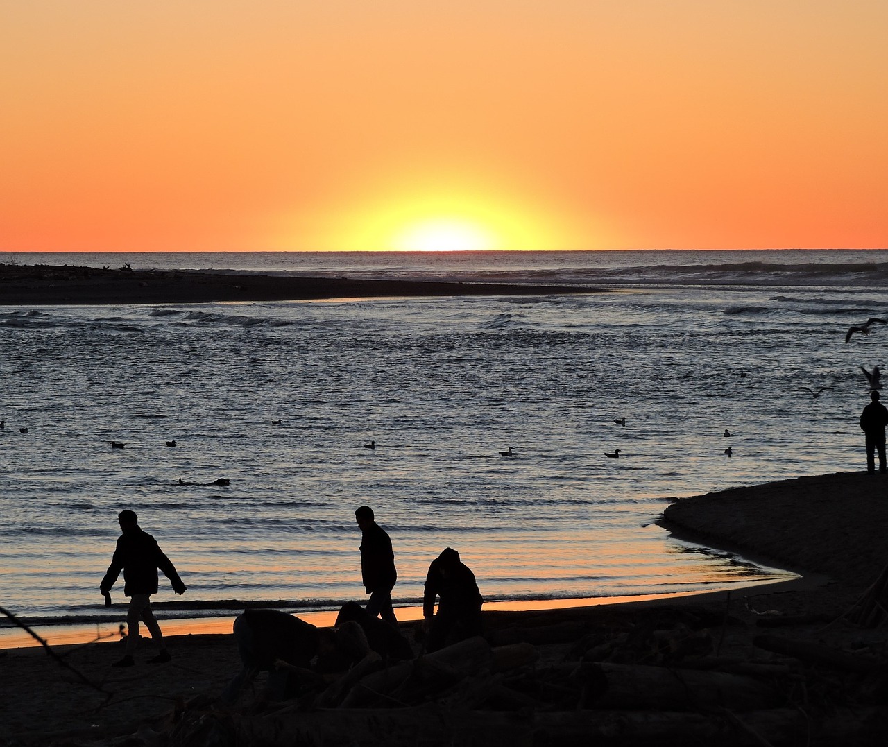 sunset orange coast free photo