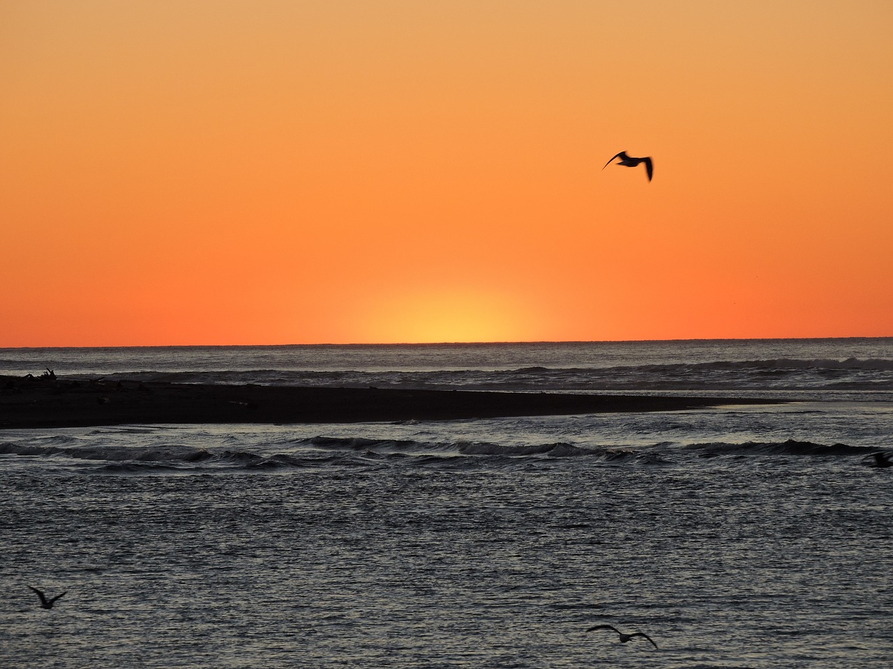 sunset orange coast free photo