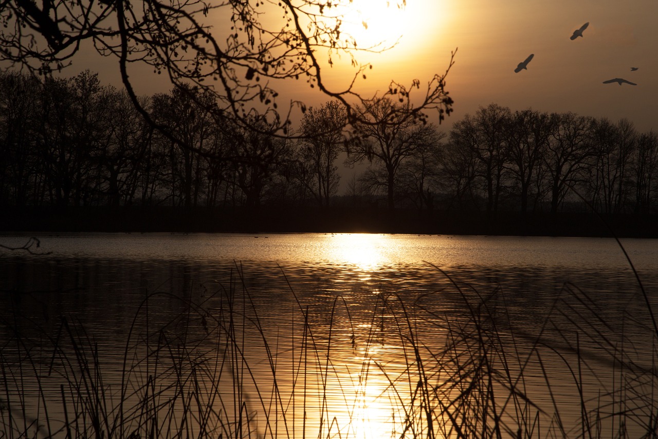 sunset lake abendstimmung free photo