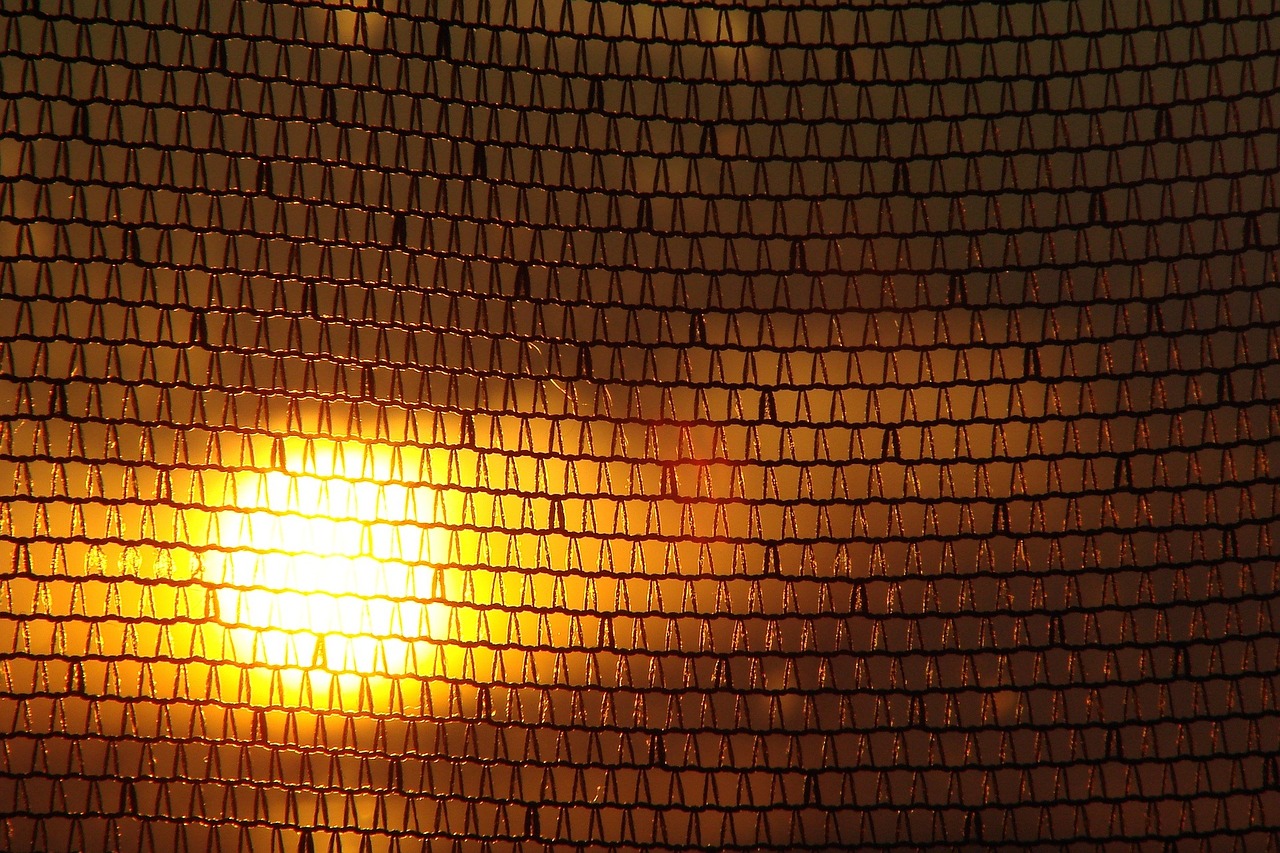 sunset orange sun sun free photo