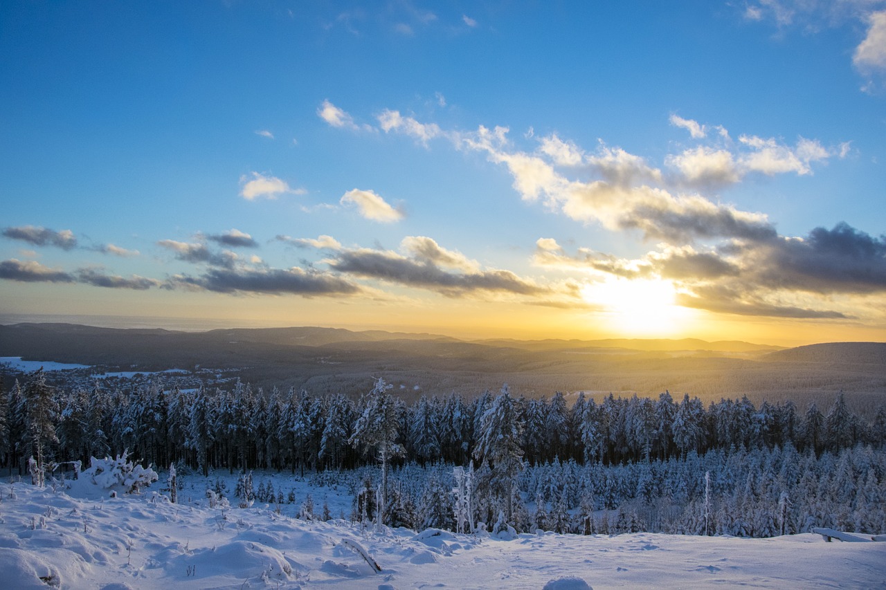 sunset forest recreation area free photo