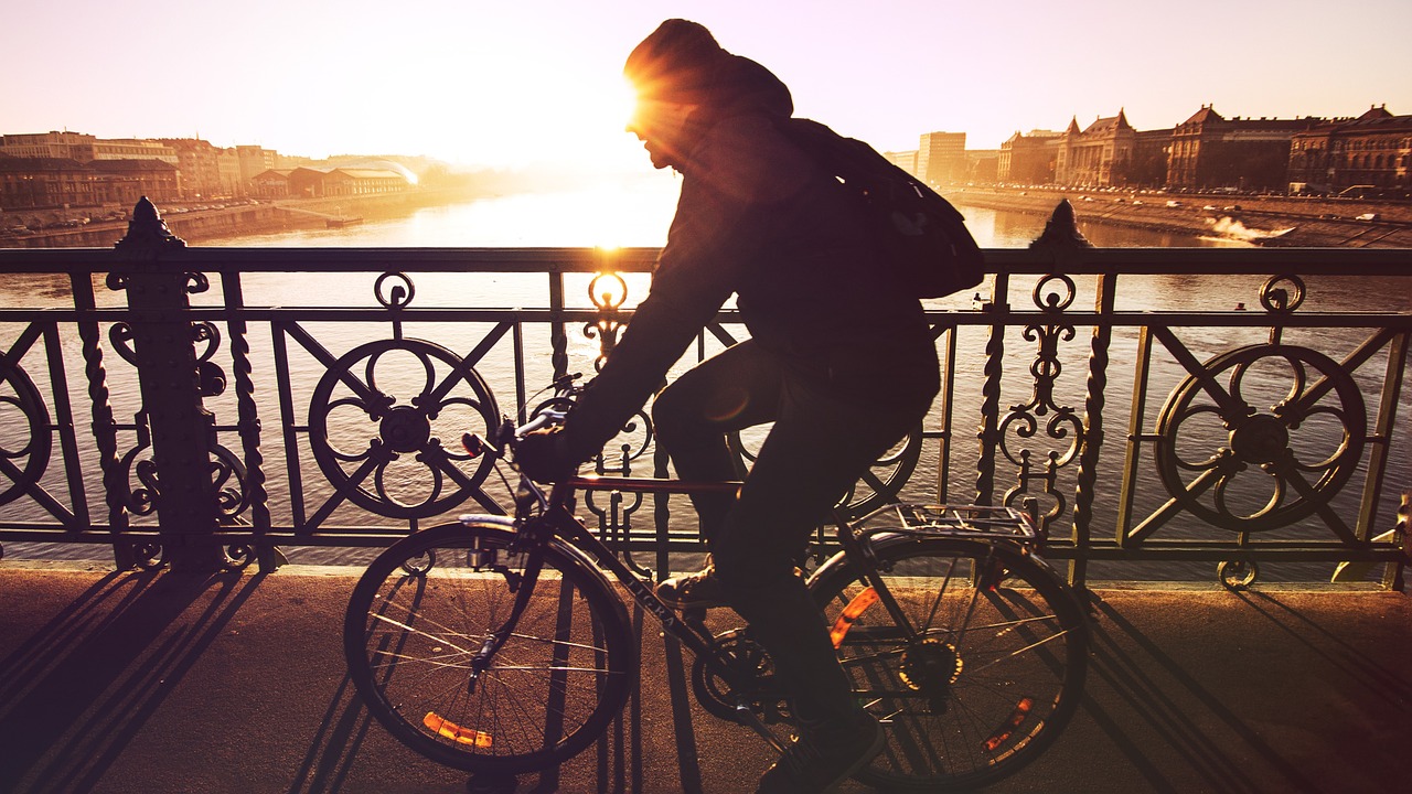 sunset cycling bridge free photo