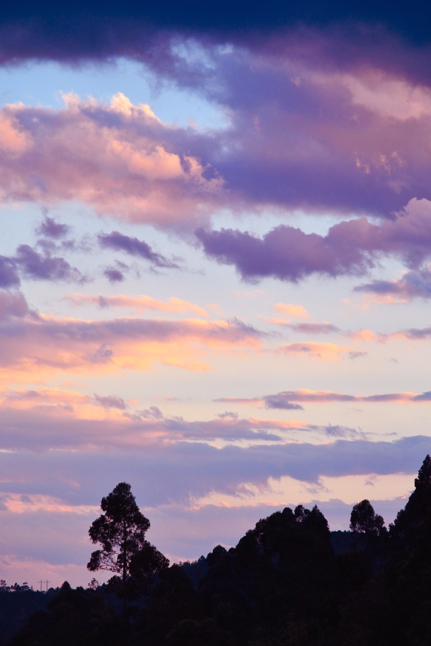 sunset mountain tree free photo