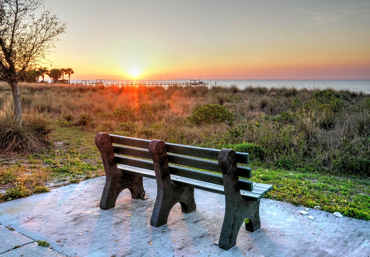 sunset bench tropical free photo