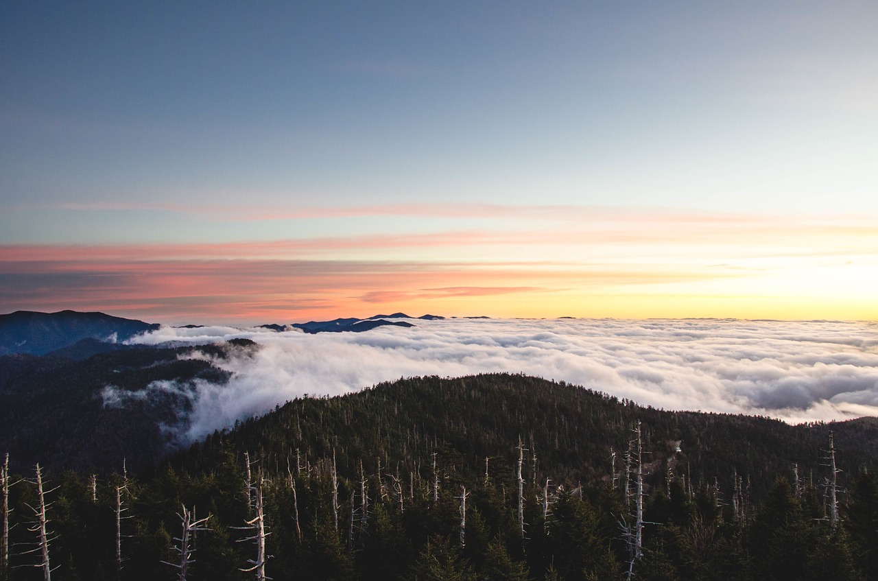 sunset mountains trees free photo