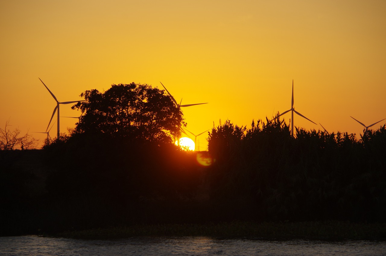 sunset windmills horizon free photo