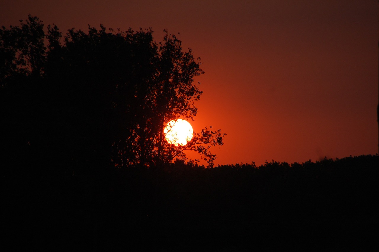 sunset twilight evening free photo