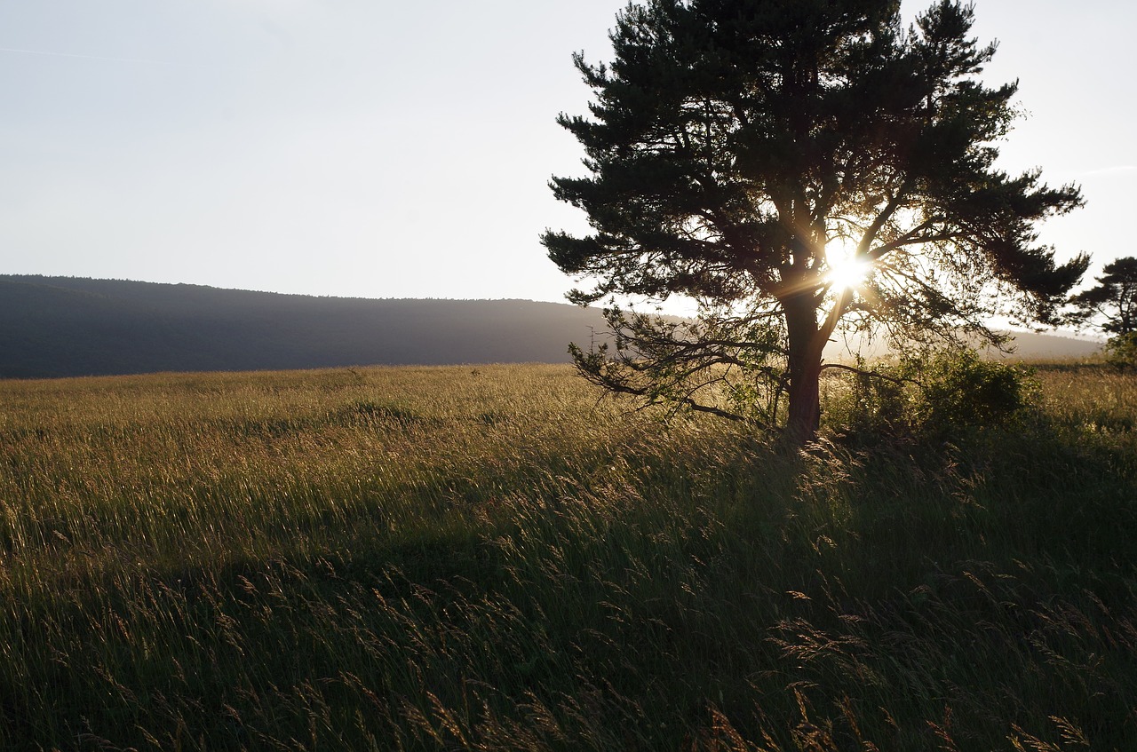 sunset bollenberg under vosges hill free photo