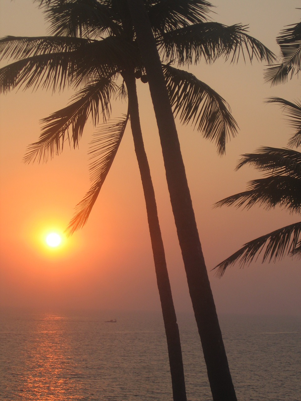 sunset india goa free photo