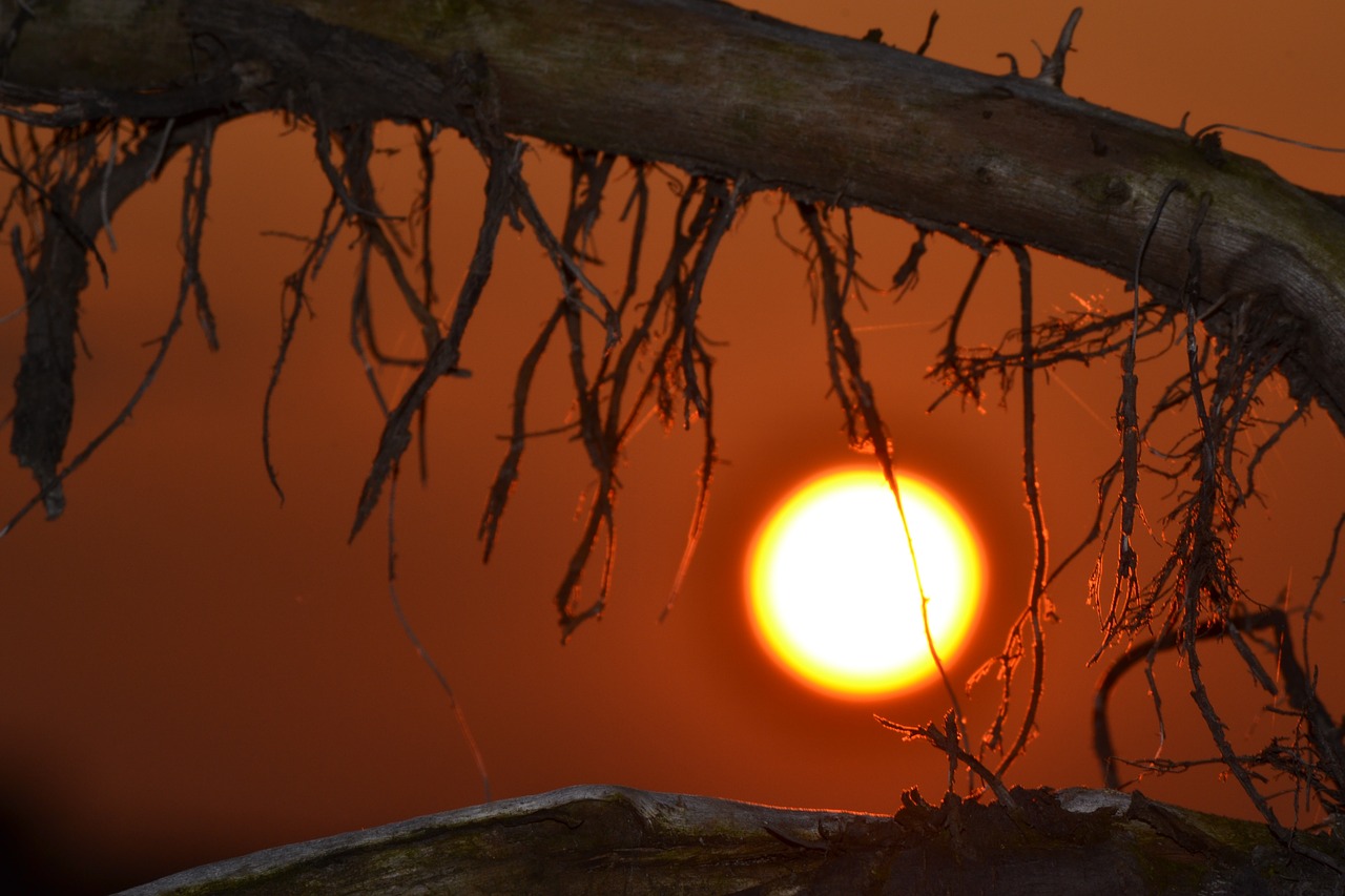 sunset evening sky nature free photo