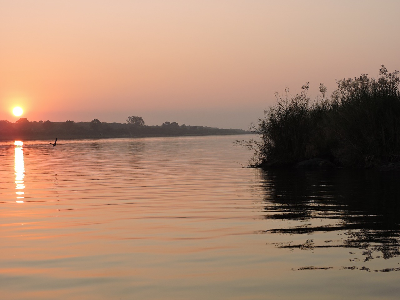 sunset river water free photo