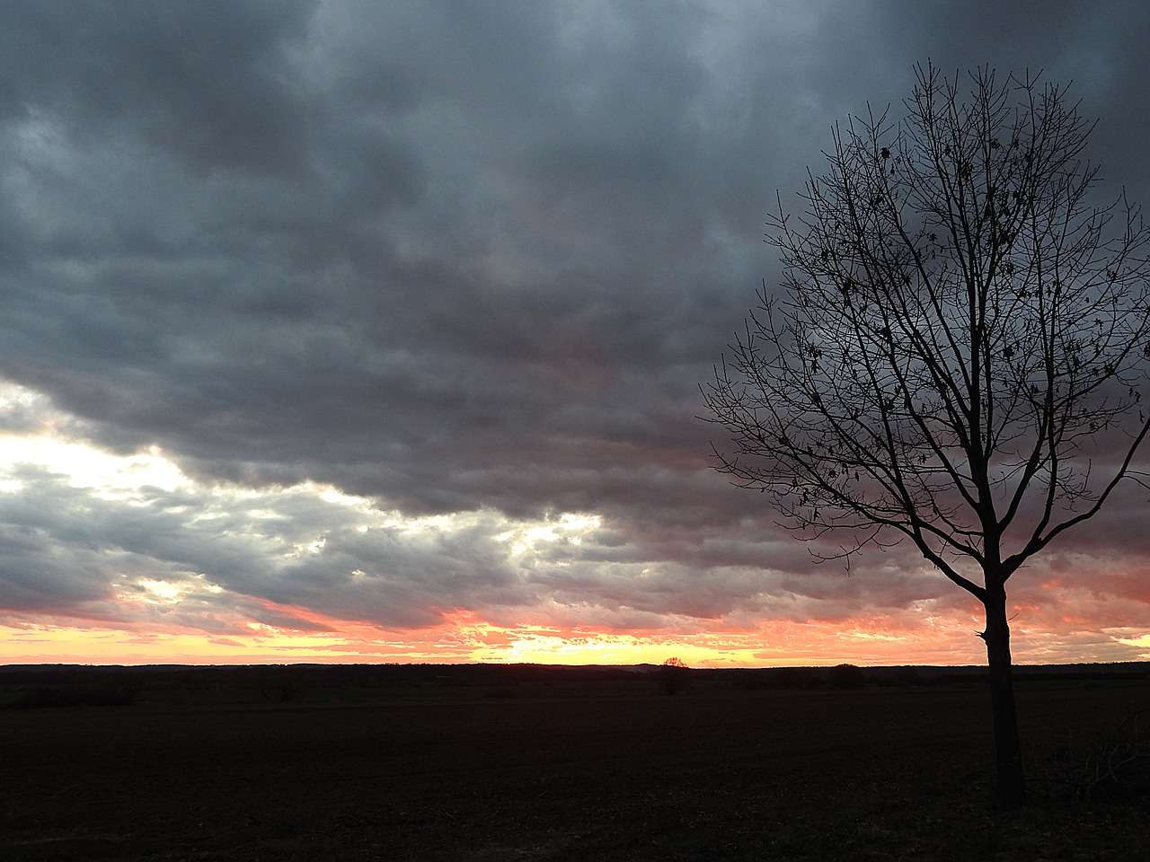 sunset cloud formations evening sky free photo