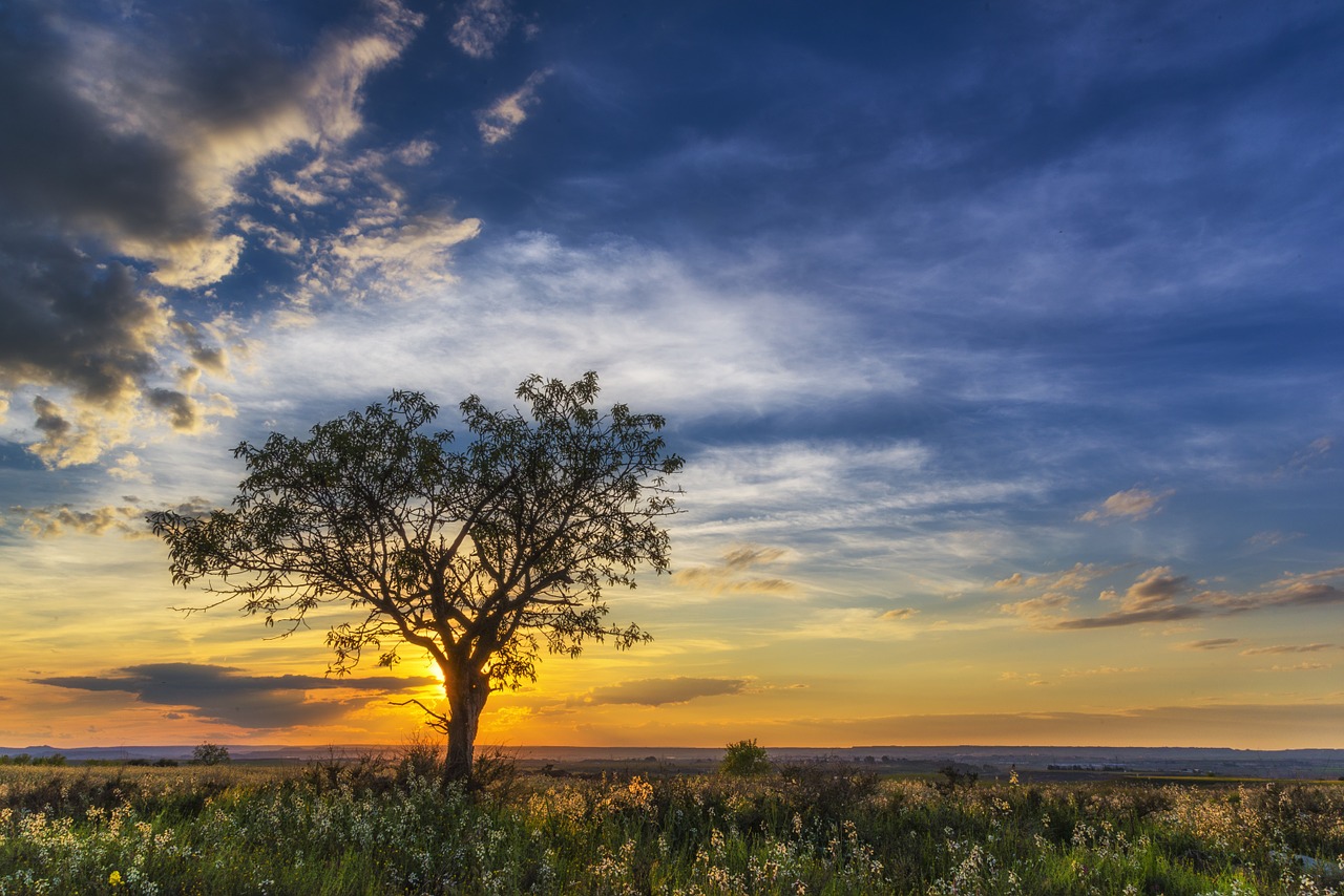 sunset horizon cloud landscape free photo