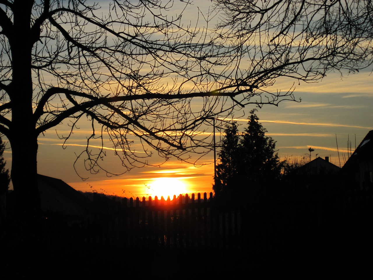 sunset tree fence free photo