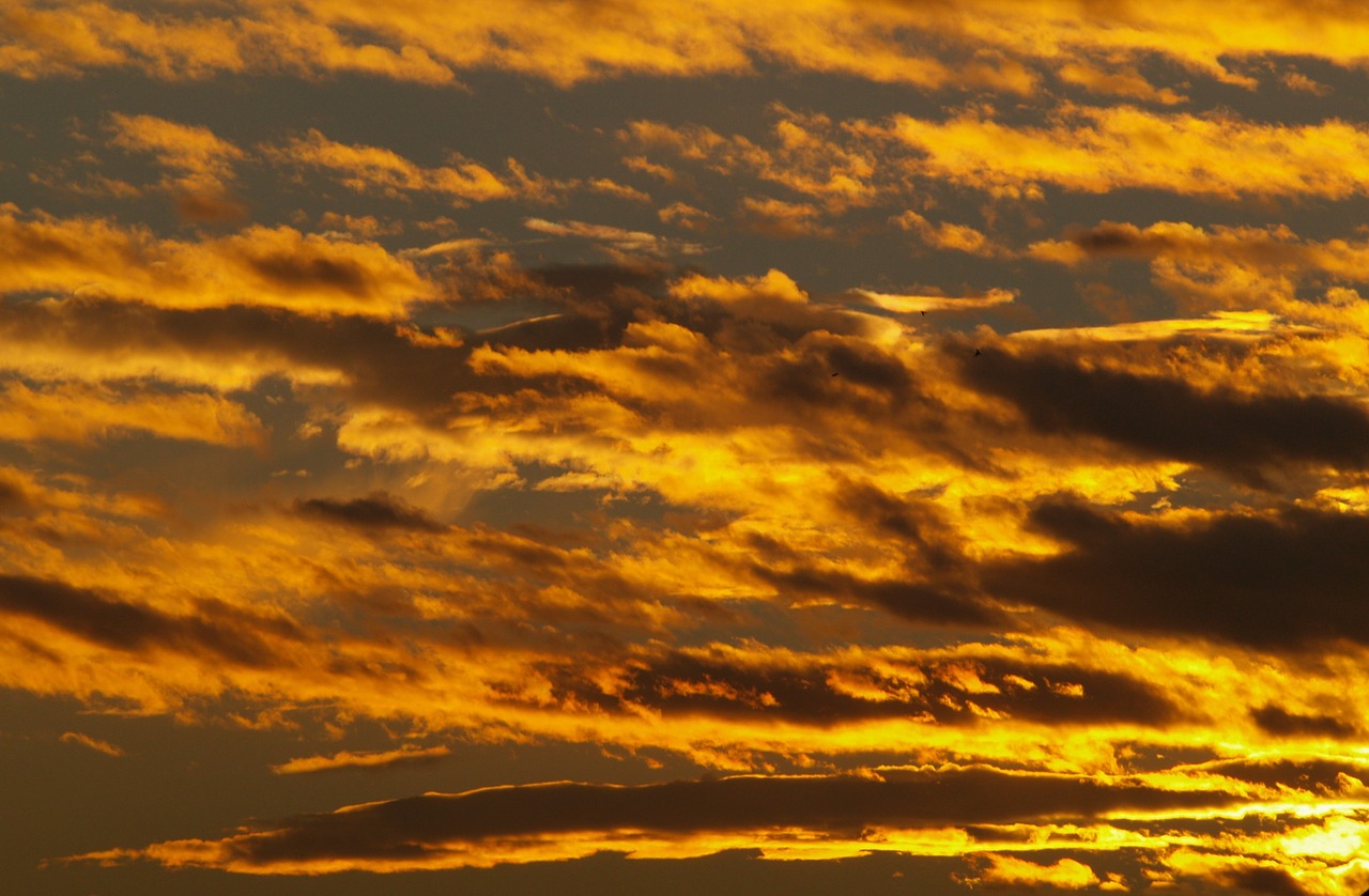 sunset sky clouds free photo