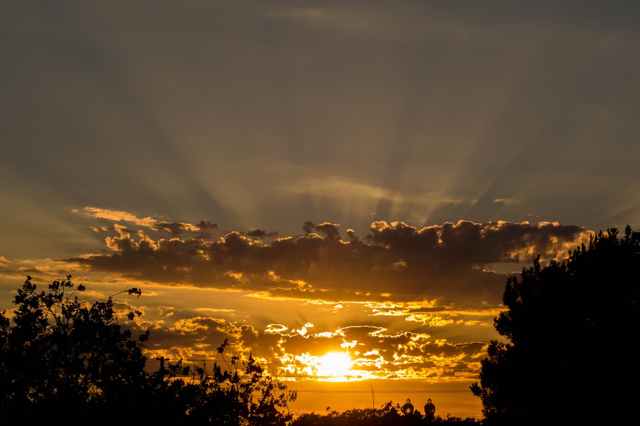 sunset sun the rays free photo