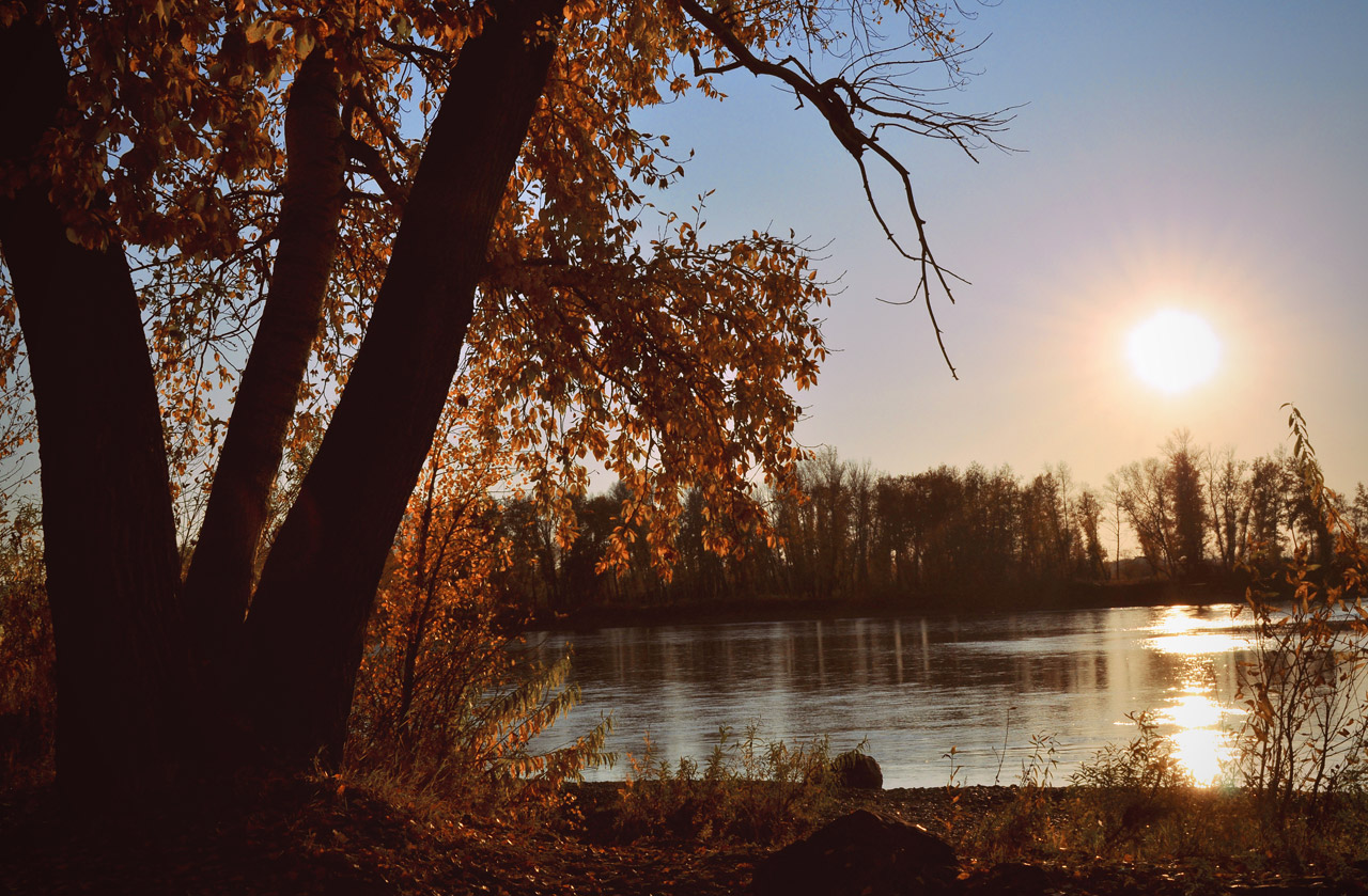 sunset river autumn free photo